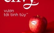 GU THƯỞNG THỨC THÊM SÀNH ĐIỆU - TÁO ENVY