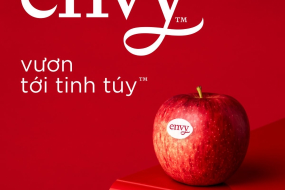 GU THƯỞNG THỨC THÊM SÀNH ĐIỆU - TÁO ENVY