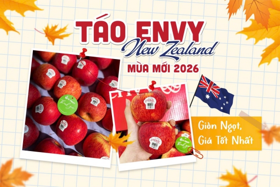 Táo Envy New Zealand Mùa Mới 2026
