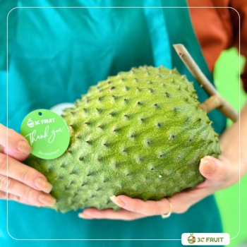 MÃNG CẦU XIÊM - TRÁI NGON MIỀN NHIỆT ĐỚI