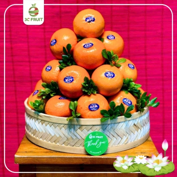 MÂM QUẢ DÂNG LỄ PHẬT ĐẢNG