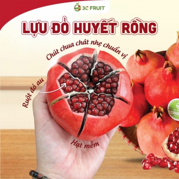 LỰU ĐỎ HUYẾT RỒNG