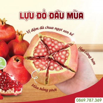 LỰU ĐỎ