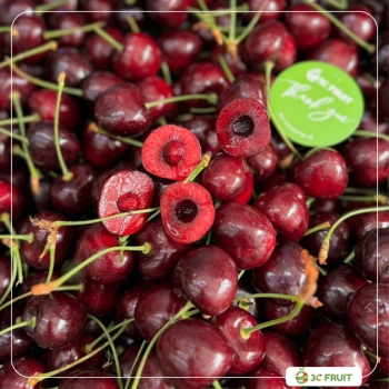 CHERRY ĐỎ CANADA SIZE 10