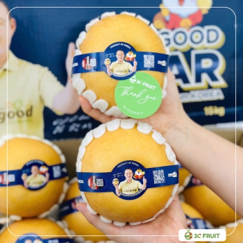 LÊ NÂU HÀN QUỐC - CHUẨN NHẬP KHẨU CAO CẤP