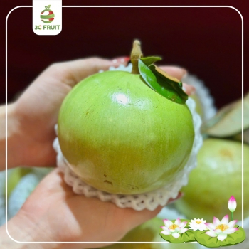 VÚ SỮA TRẮNG LÒ RÈN - ĐẶC SẢN MIỀN TÂY