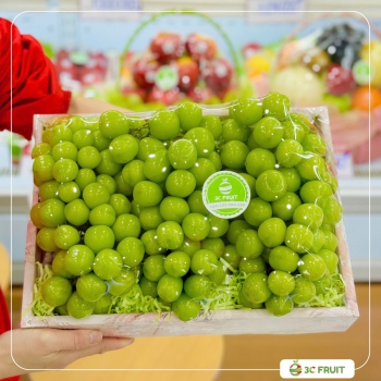 GIỎ/HỘP QUÀ NHO BIẾU TẶNG