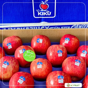 TÁO MẬT KIKU MỸ SIZE 24-28