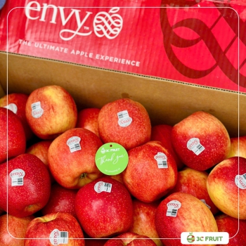 TÁO ENVY SIZE 32-64