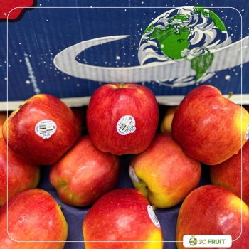 TÁO AMBROSIA MỸ SIZE 24-28-32