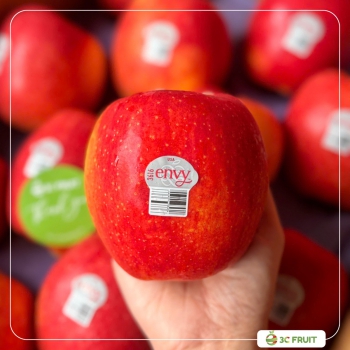 ENVY MỸ SIZE 36-72