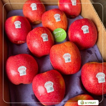 TÁO ENVY MỸ SIZE 28