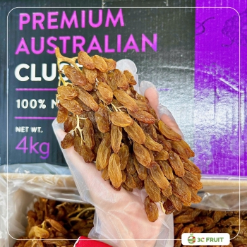 NHO KHÔ ÚC NGUYÊN CÀNH