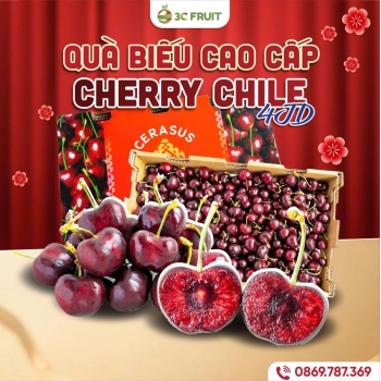 CHERRY CHILE 4JD
