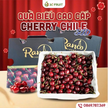 CHERRY CHILE 3JD