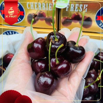 #CHERRY_HANSEN_ÚC VỀ HÀNG MỚI