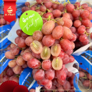 #NHO_ĐỎ_ÚC_OKUKU - ĐỎ NHƯ TẾT, NGỌT LÀNH ĐẦU NĂM