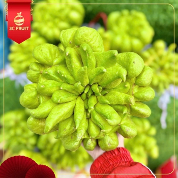 PHẬT THỦ TRONG TRUYỀN THỐNG VĂN HÓA TẾT VIỆT