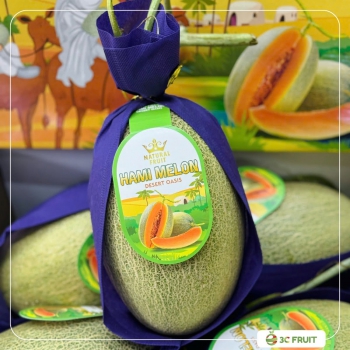 DƯA LƯỚI ALADIN