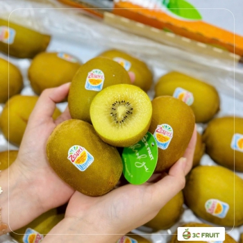 KIWI VÀNG NEWZEALAND S22