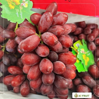 NHO ĐỎ RUBY - THỨC QUẢ GIẢI NHIỆT