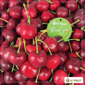 CHERRY ĐỎ MỸ S9