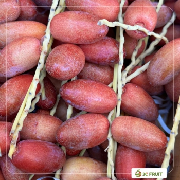 CHÀ LÀ THÁI- LÔ ĐẦU MÙA CHÍNH THỨC CẬP BẾN