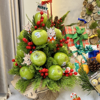 Cây thông Giáng sinh