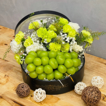 Hộp tròn quả trái