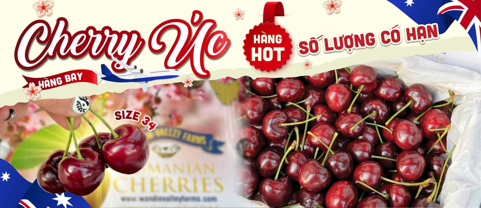 cherry Úc