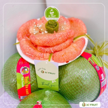 BƯỞI HỒNG DA XANH