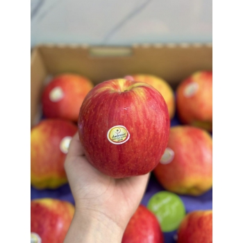 TÁO AMBROSIA NEWZEALAND S35-70