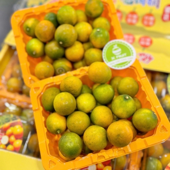 QUẤT NGỌT ĐÀI LOAN (Hộp 500g)