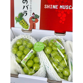 NHO XANH SHINE MUSCAT