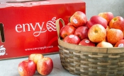 Vì sao táo Envy được ưu ái nhiều?